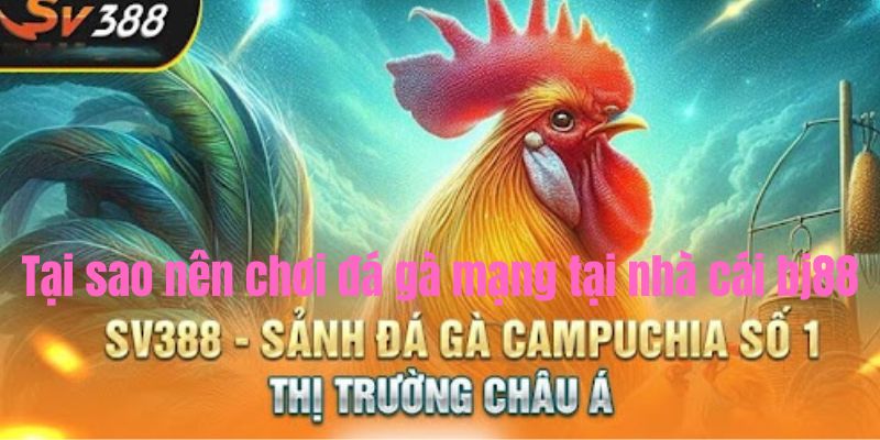 Tại Sao Nên Chơi Đá Gà Mạng Tại Nhà Cái Bj88?